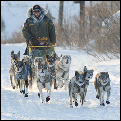 Jeff King in Council. Photo by Jan DeNapoli.
