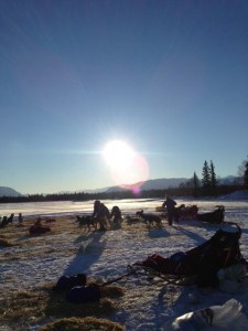 Mushers tend their dogs at the Finger Lake checkpoint. Photo by Mandy Dixson, Winterlake Lodge
