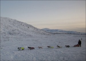 Yukon Quest musher photo by Northern Light Media