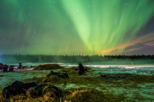 Northern lights over the Yentna River. [Photo by Tom Jamgochian]