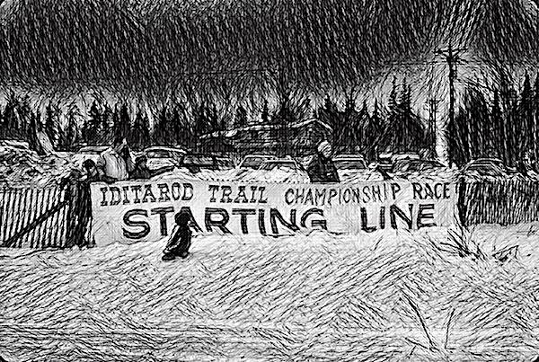 imageedit_37_2063624493