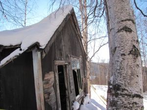 Another cabin near the F.E. Co. Gold Camp.