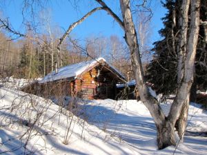 Seppala's cabin again