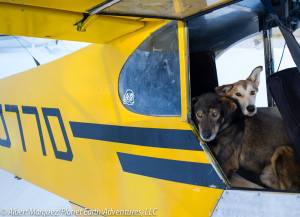 Dropped dogs at Finger Lake awaiting their ride home. [Photo by Albert Marquez/Planet Earth Adventures]