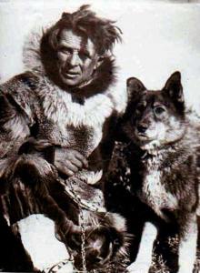 Leonard Seppala with his lead dog Togo