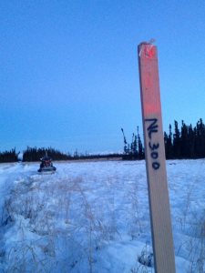 Northern Lights 300 trail stake. [Photo by Lou Schrader]