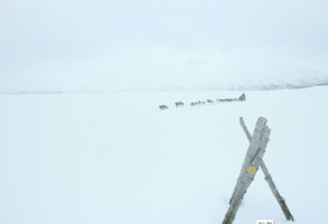 Screen Shot 2015-03-05 at 12.49.19 PM