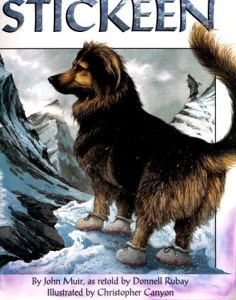 Stickeen: John Muir and the Brave Little Dog, by John Muir, as retold by Donnell Rubay. Scholastic Inc., 1998, 30 pages. Illustrated in color by Christopher Canyon. 