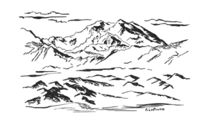 Screen Shot 2015-08-08 at 8.29.37 AM