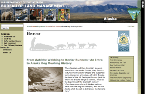 Screen Shot 2015-12-29 at 10.23.12 AM