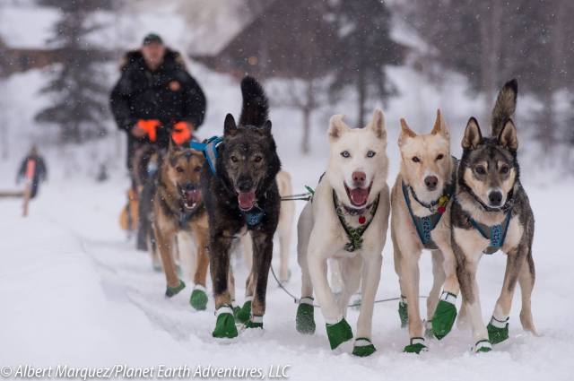 12615695_917608201641454_7957739697473628955_o