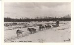 Alaska Dogteam b:w