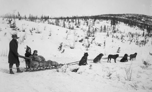 Dogteam on the trail copy