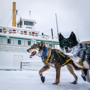 Susan Roggan into Dawson