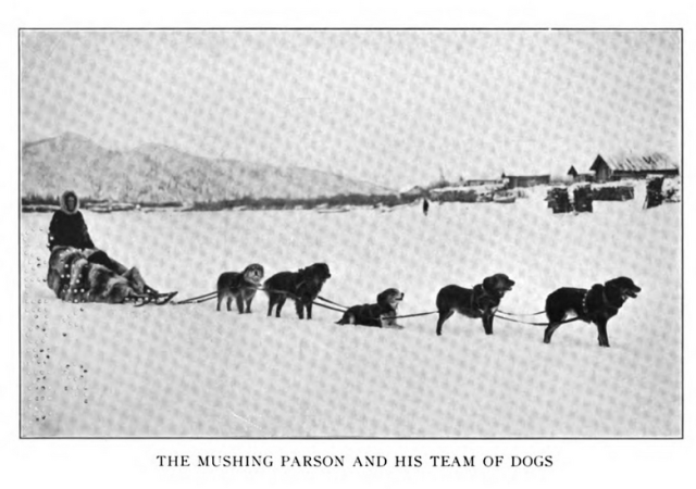 S. Hall Young Dogteam copy