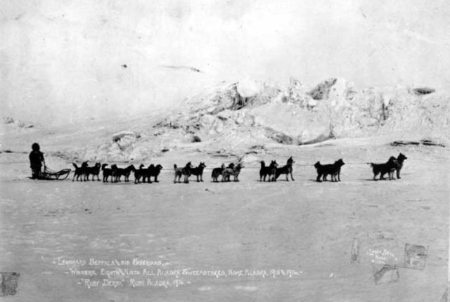 Sepp's Siberian Team copy