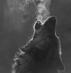 46283492_10217578013507223_5151146160051716096_n