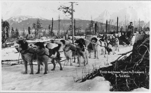 19. First team Nome to Seward