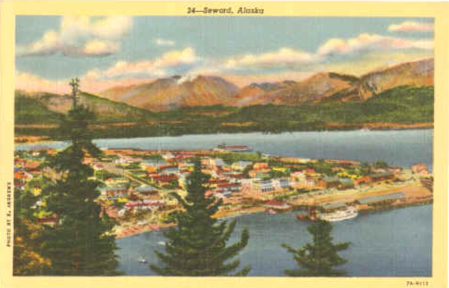 Seward birds eye view