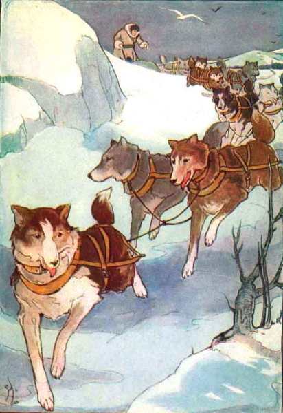 81. Hattie Longstreet Dogteam